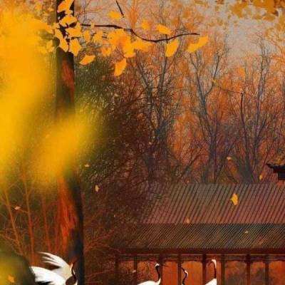 王城霸主华为版下载