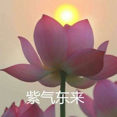 幻想q传bt版下载